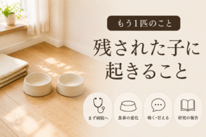 もう1匹が元気ない