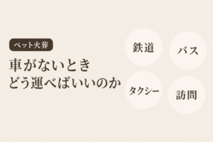 車がないとき、ペットの遺体はどう運ぶ？